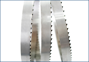 Food saw blade