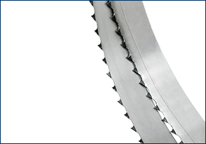 Food saw blade