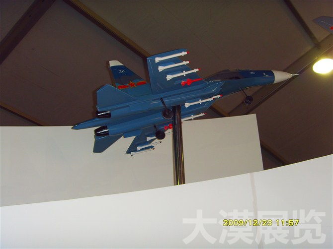 殲十戰(zhàn)斗機模型
